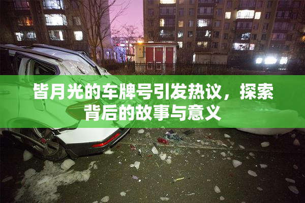 皆月光的车牌号引发热议，探索背后的故事与意义