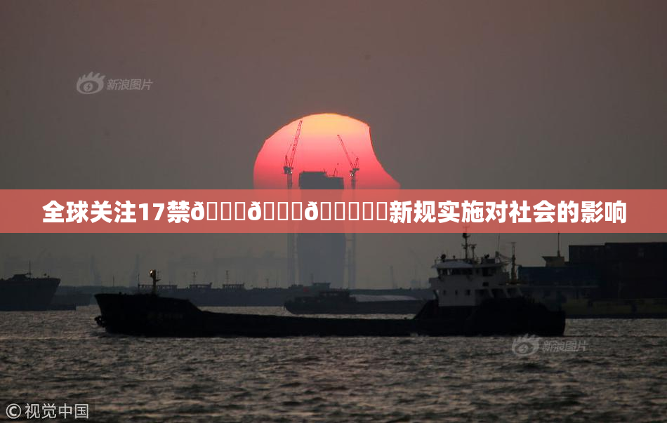 全球关注17禁🍆🍑🔞❌‌新规实施对社会的影响