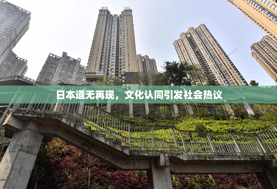 日本道无再现，文化认同引发社会热议