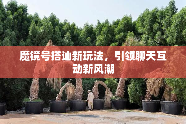 魔镜号搭讪新玩法，引领聊天互动新风潮