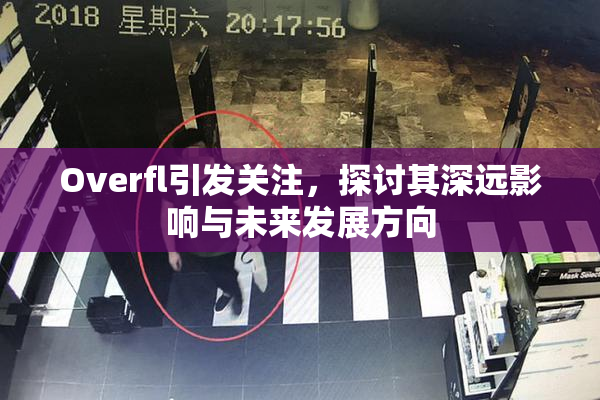 Overfl引发关注，探讨其深远影响与未来发展方向