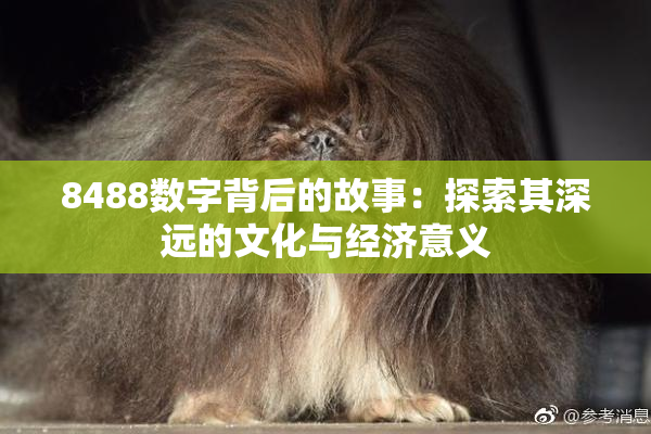 8488数字背后的故事：探索其深远的文化与经济意义