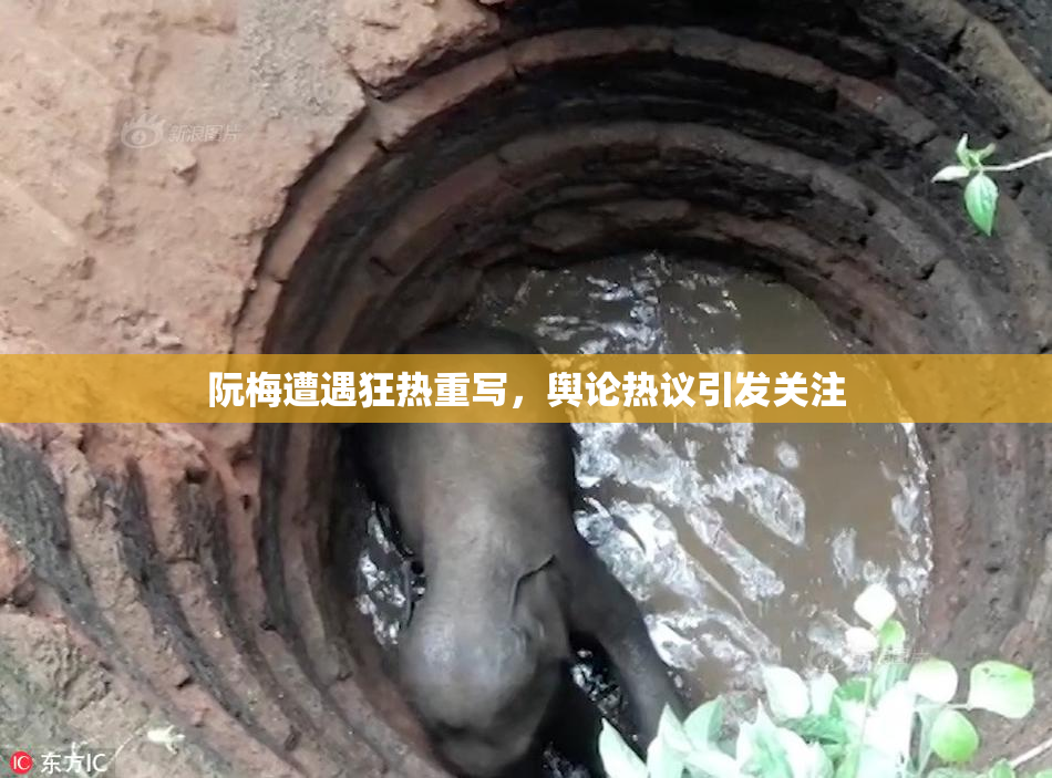 阮梅遭遇狂热重写，舆论热议引发关注