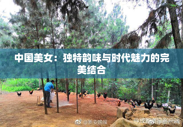 中国美女：独特韵味与时代魅力的完美结合