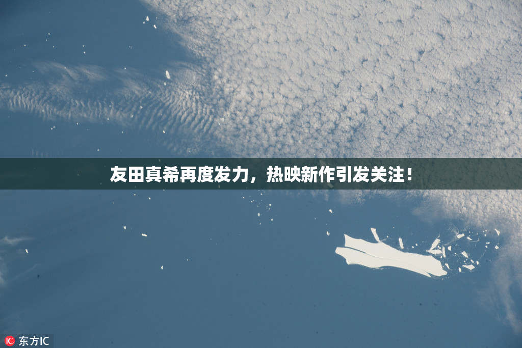 友田真希再度发力，热映新作引发关注！