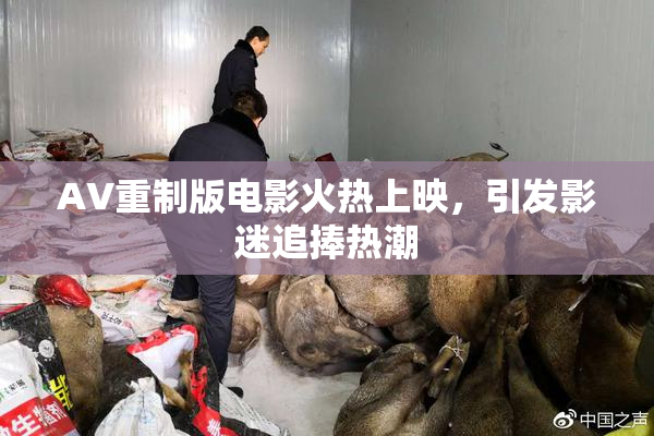AV重制版电影火热上映，引发影迷追捧热潮