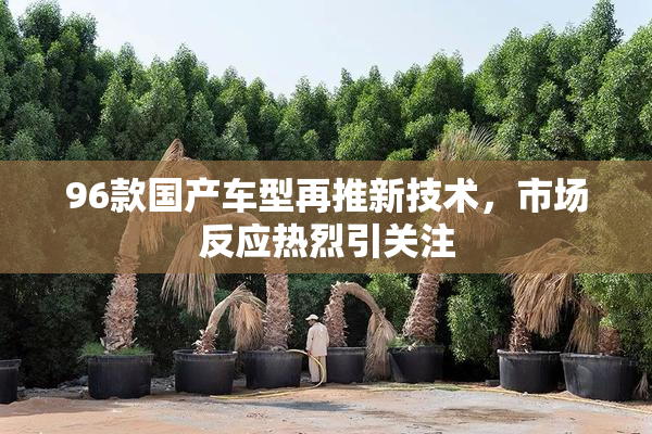 96款国产车型再推新技术，市场反应热烈引关注