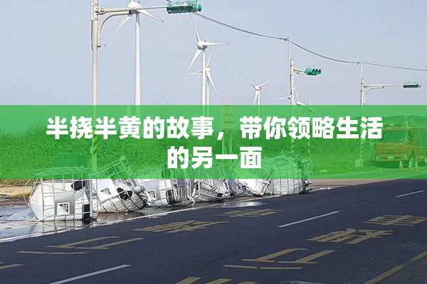 半挠半黄的故事，带你领略生活的另一面