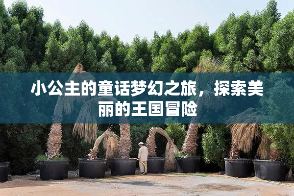 小公主的童话梦幻之旅，探索美丽的王国冒险
