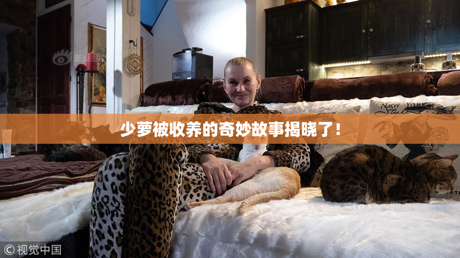 少萝被收养的奇妙故事揭晓了！