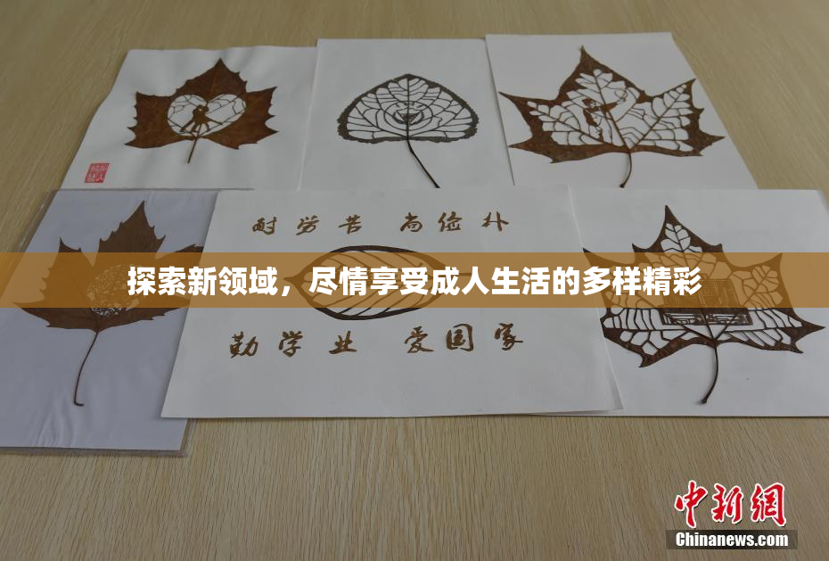 探索新领域，尽情享受成人生活的多样精彩