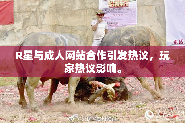 R星与成人网站合作引发热议，玩家热议影响。