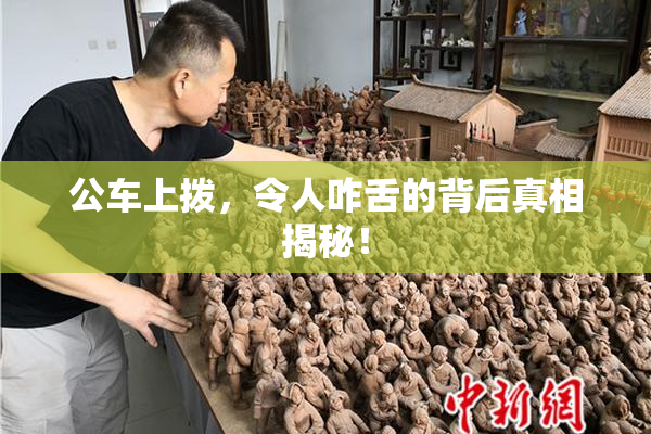公车上拨，令人咋舌的背后真相揭秘！