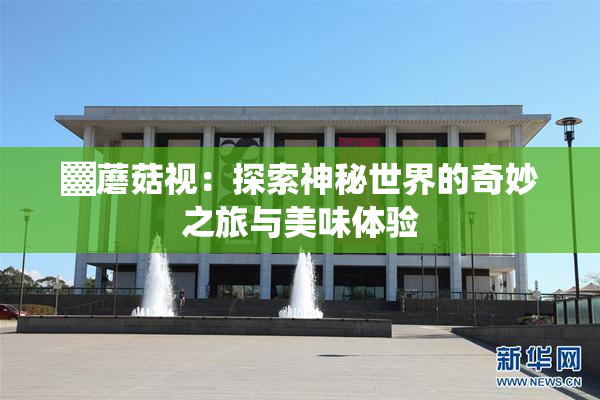 ▓蘑菇视：探索神秘世界的奇妙之旅与美味体验