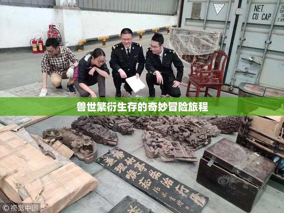 兽世繁衍生存的奇妙冒险旅程