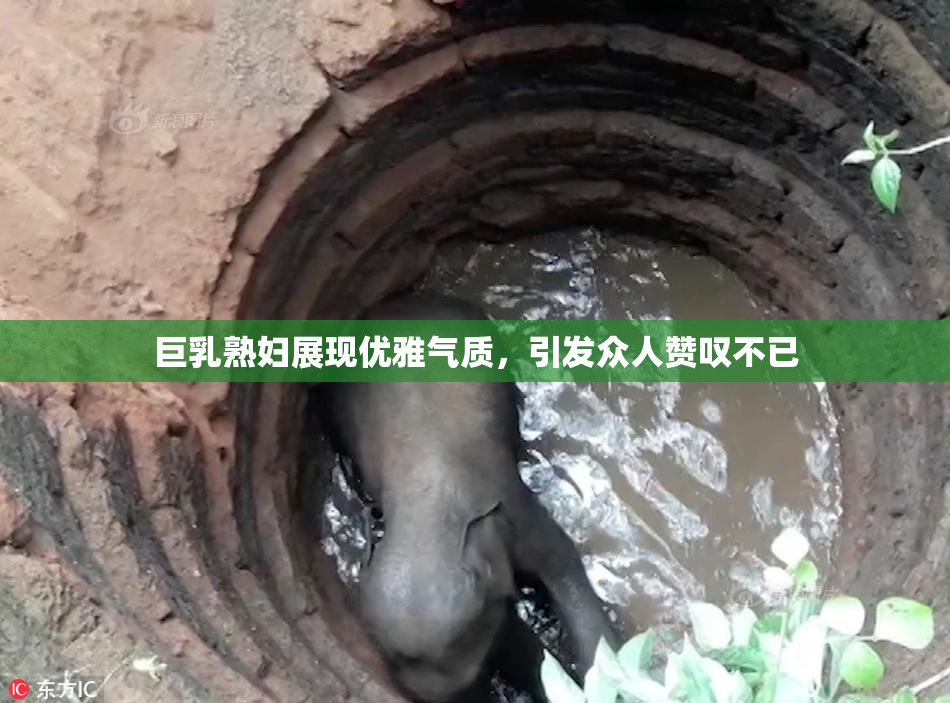 巨乳熟妇展现优雅气质，引发众人赞叹不已