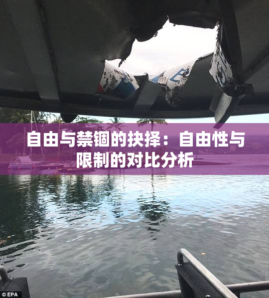 自由与禁锢的抉择：自由性与限制的对比分析