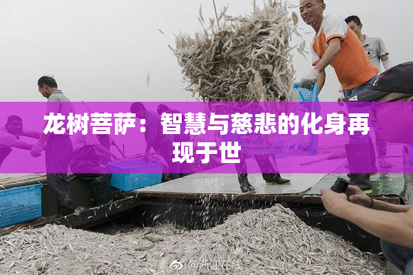 龙树菩萨：智慧与慈悲的化身再现于世