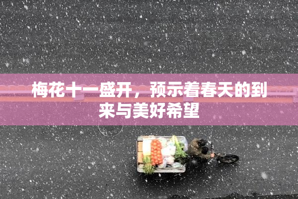 梅花十一盛开，预示着春天的到来与美好希望