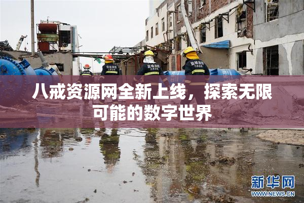 八戒资源网全新上线，探索无限可能的数字世界