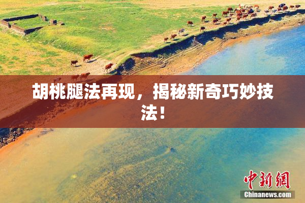胡桃腿法再现，揭秘新奇巧妙技法！