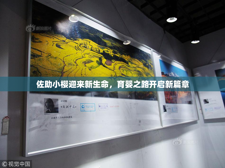 佐助小樱迎来新生命，育婴之路开启新篇章
