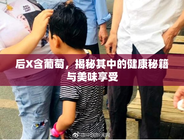 后X含葡萄，揭秘其中的健康秘籍与美味享受