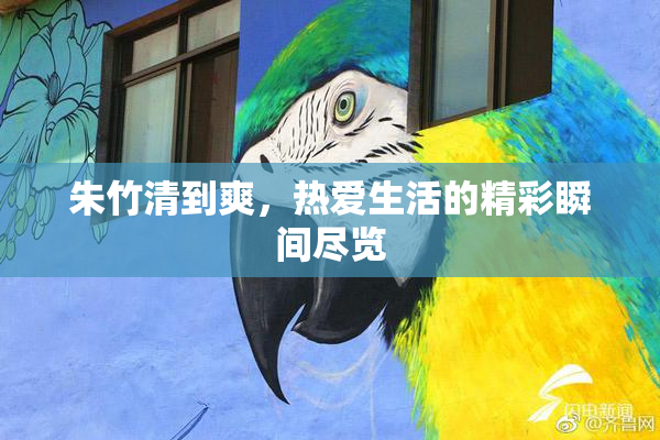朱竹清到爽，热爱生活的精彩瞬间尽览