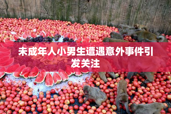 未成年人小男生遭遇意外事件引发关注