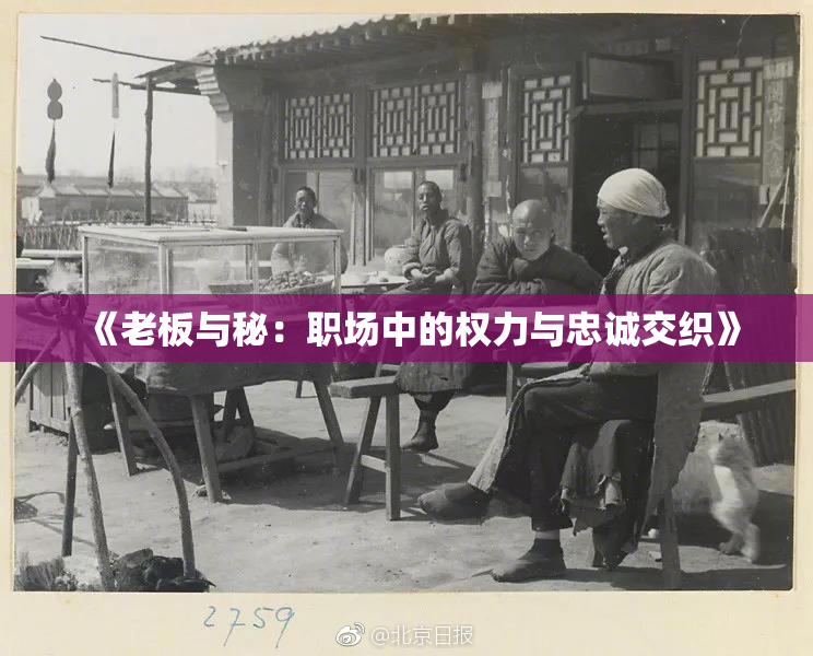 《老板与秘：职场中的权力与忠诚交织》