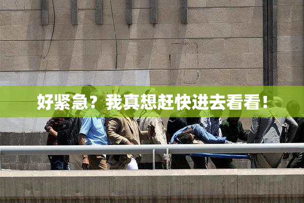 好紧急？我真想赶快进去看看！