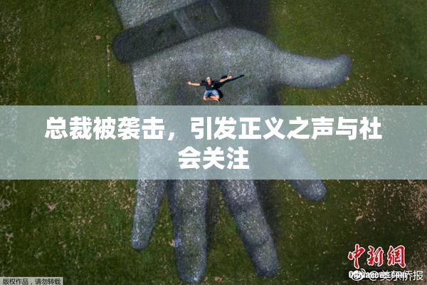 总裁被袭击，引发正义之声与社会关注