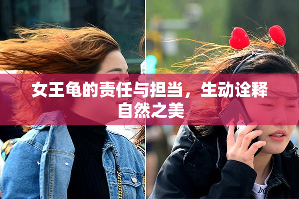 女王龟的责任与担当，生动诠释自然之美