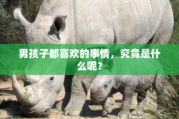 男孩子都喜欢的事情，究竟是什么呢？