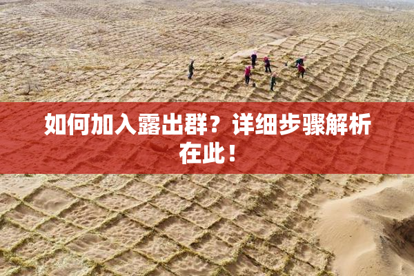 如何加入露出群？详细步骤解析在此！