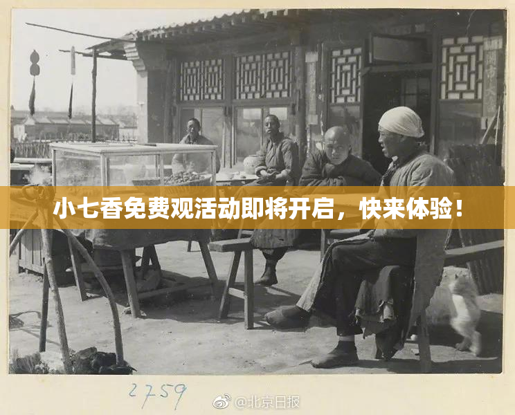 小七香免费观活动即将开启，快来体验！
