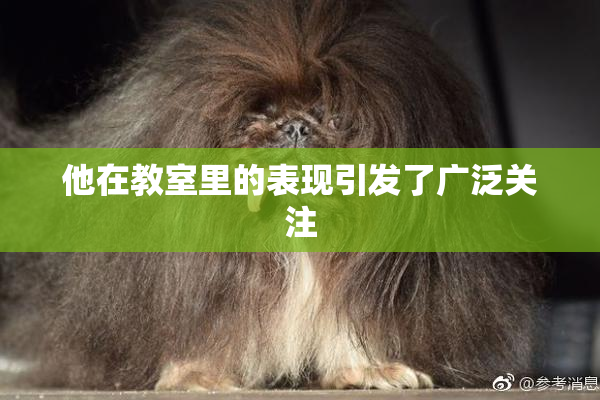 他在教室里的表现引发了广泛关注