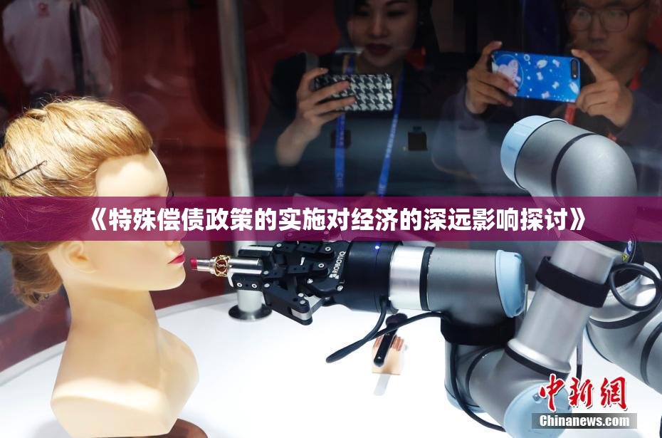 《特殊偿债政策的实施对经济的深远影响探讨》
