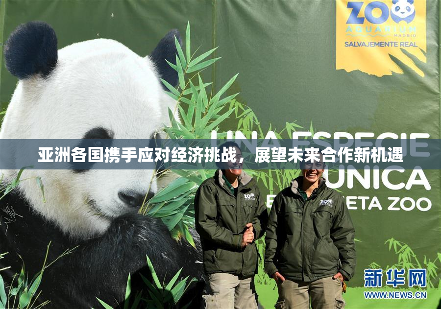 亚洲各国携手应对经济挑战，展望未来合作新机遇
