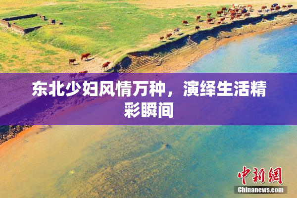 东北少妇风情万种，演绎生活精彩瞬间