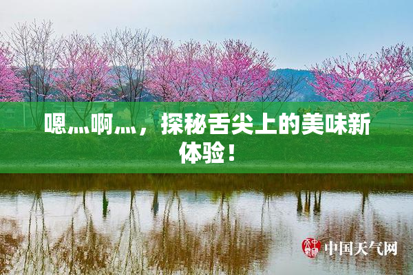 嗯灬啊灬，探秘舌尖上的美味新体验！
