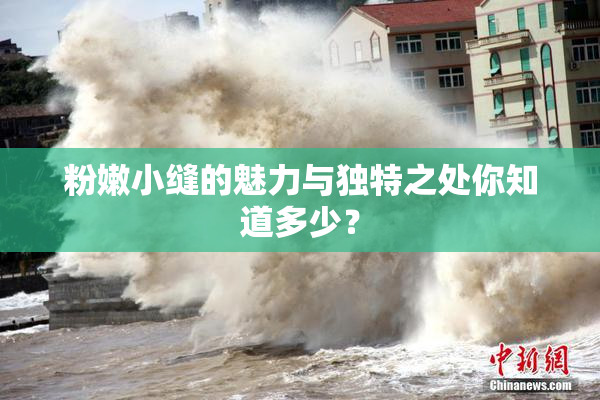 粉嫩小缝的魅力与独特之处你知道多少？