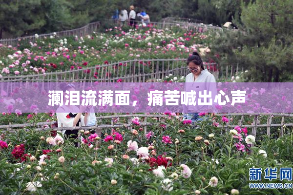 澜泪流满面，痛苦喊出心声