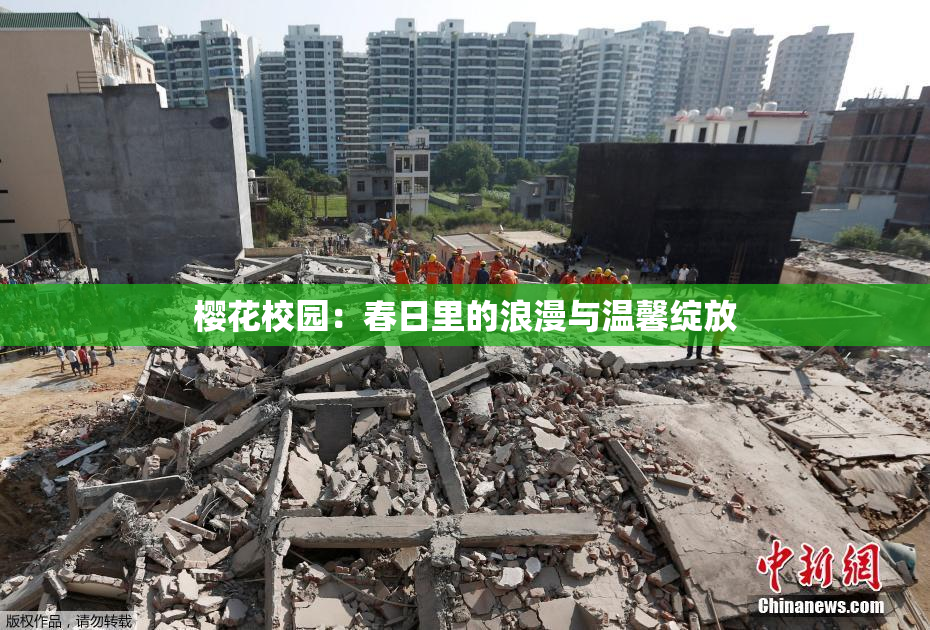 樱花校园：春日里的浪漫与温馨绽放