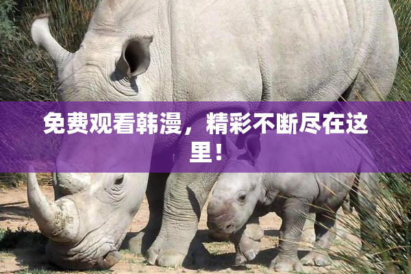 免费观看韩漫，精彩不断尽在这里！