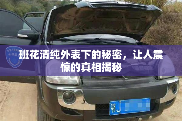 班花清纯外表下的秘密，让人震惊的真相揭秘
