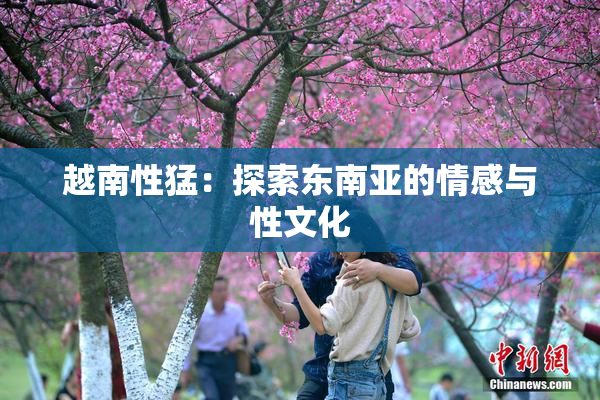 越南性猛：探索东南亚的情感与性文化