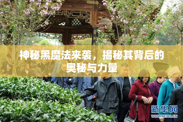 神秘黑魔法来袭，揭秘其背后的奥秘与力量