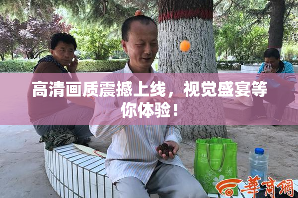 高清画质震撼上线，视觉盛宴等你体验！