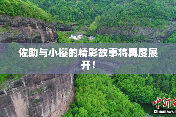 佐助与小樱的精彩故事将再度展开！